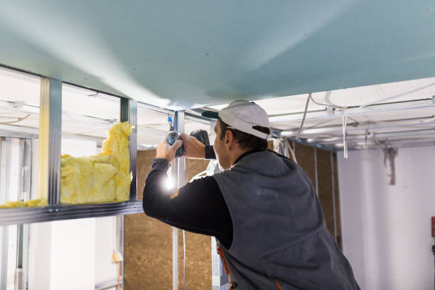 Best Commercial Insulation in Doraville, GA