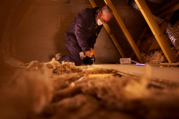 Best Insulation Installation Services in Doraville, GA